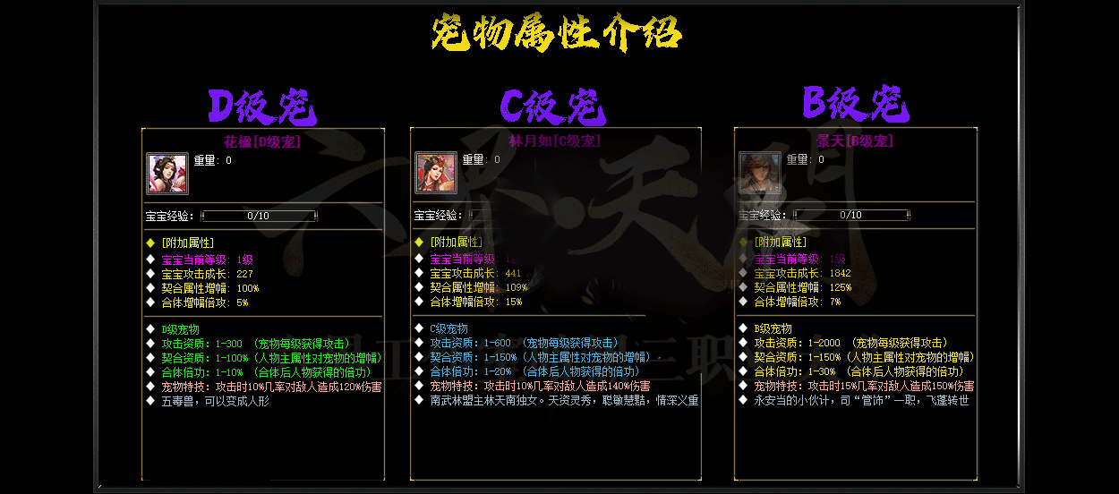 description 